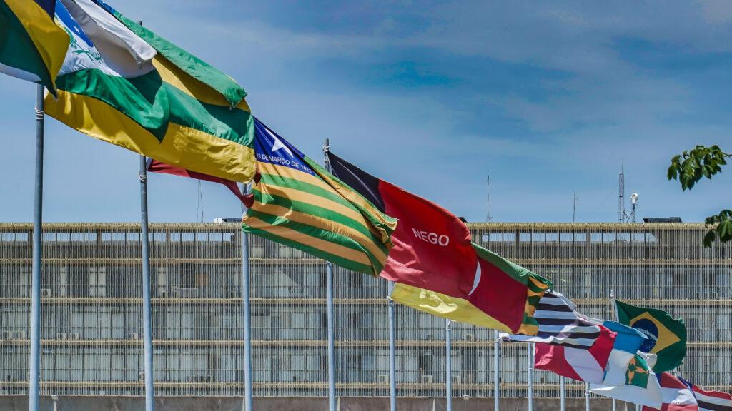 bandeiras dos estados