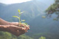 Questão de princípios (V): Defesa do Meio Ambiente: Princípio, não Greenwashing Tributário