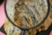 mineral com lupa